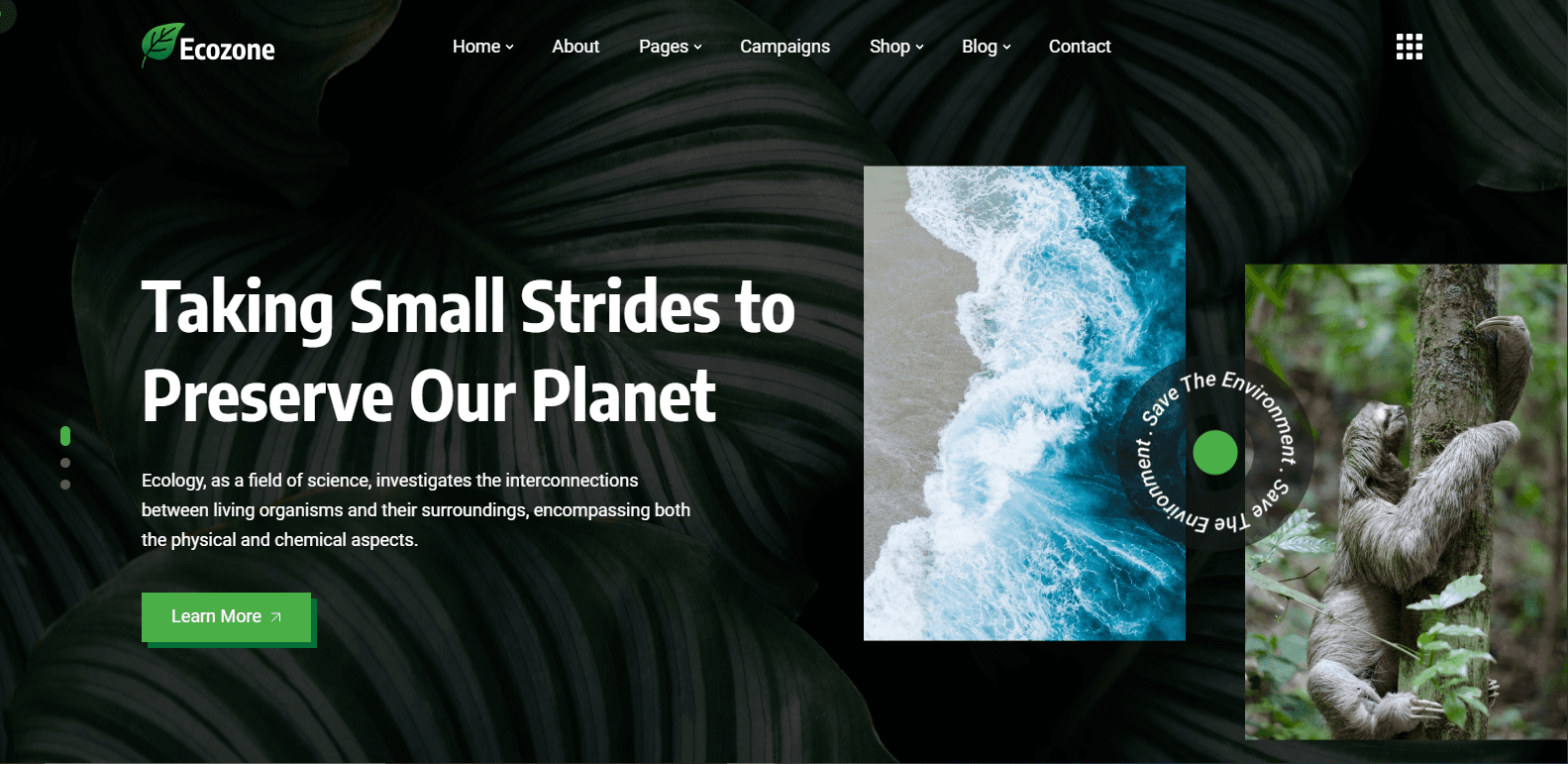 Ecozone project preview
